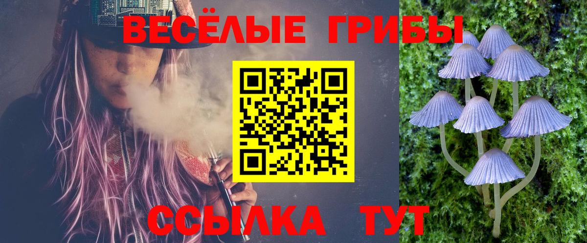 Галлюциногенные грибы Psilocybe Анжеро-Судженск